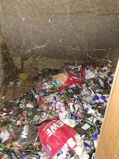 Photo from customer review